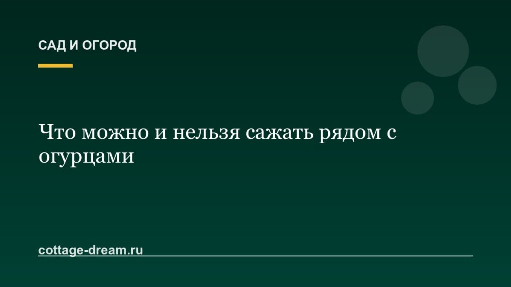 Что можно и нельзя сажать рядом с огурцами