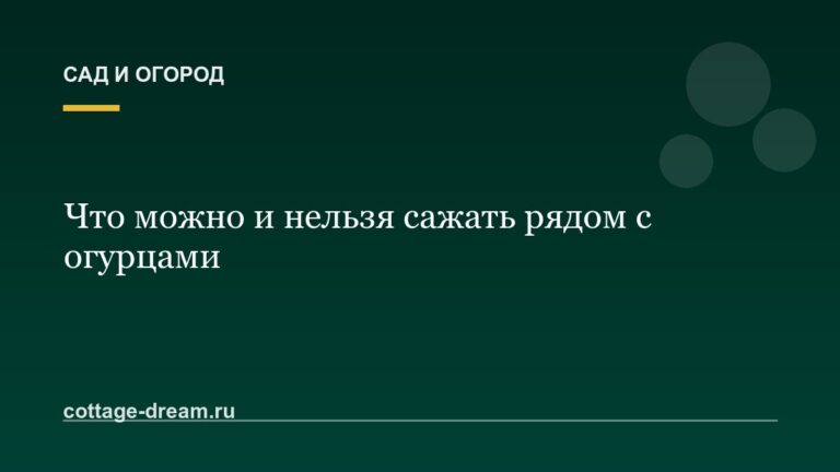 Что можно и нельзя сажать рядом с огурцами