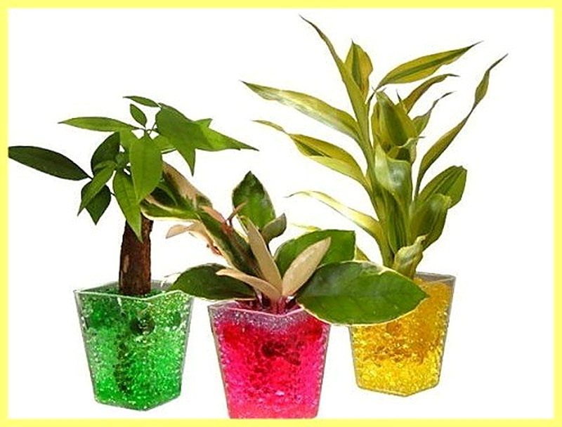 Аквагрунт для растений инструкция