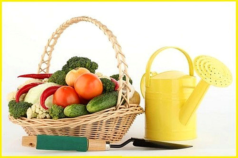 Как удобрять дрожжами овощи