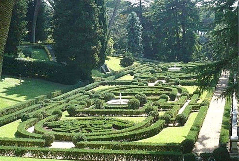 Бордюры из кизильника