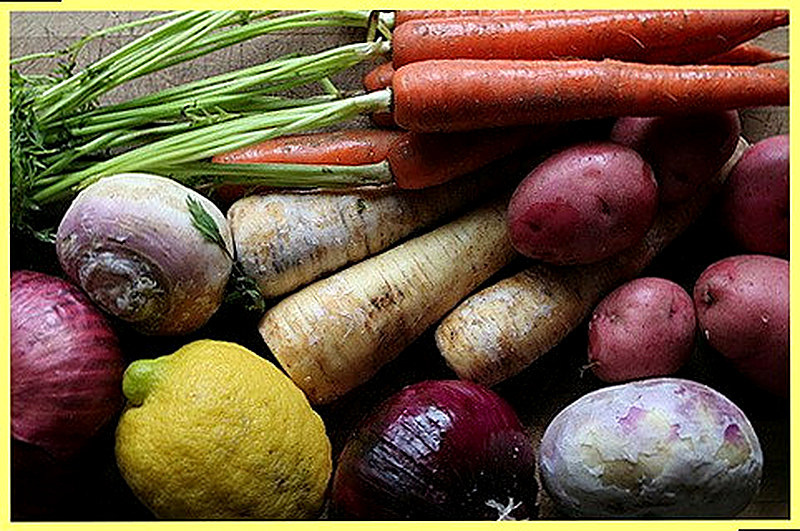 Обработка почвы под корнеплоды