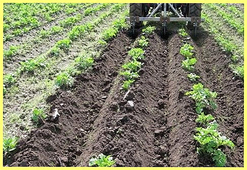 Обработка почвы под картофель