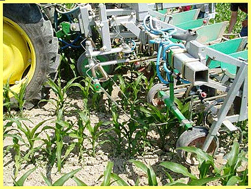 Обработка почвы под кукурузу