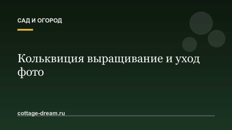 Кольквиция выращивание и уход фото