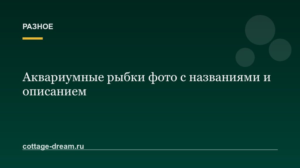 Аквариумные рыбки фото с названиями и описанием