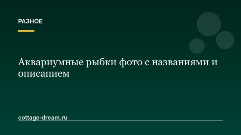 Аквариумные рыбки фото с названиями и описанием