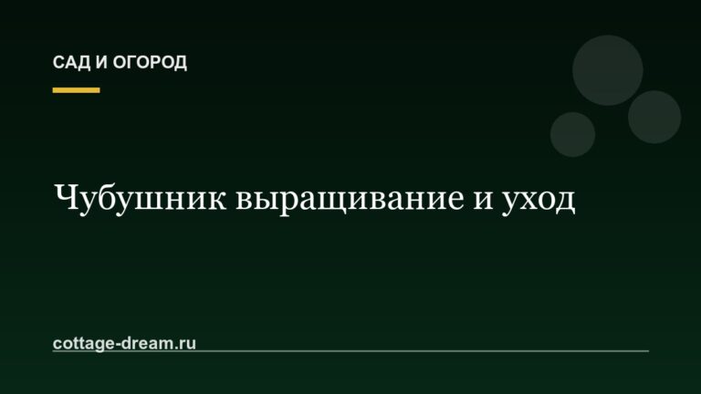 Чубушник выращивание и уход: фото