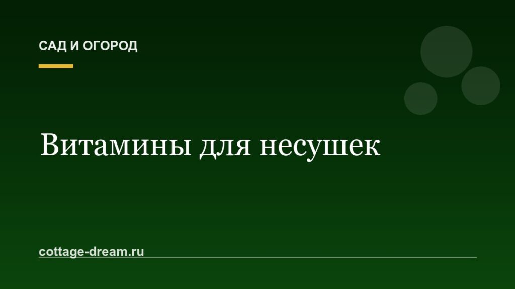 Витамины для несушек: травы