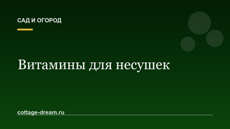 Витамины для несушек: травы