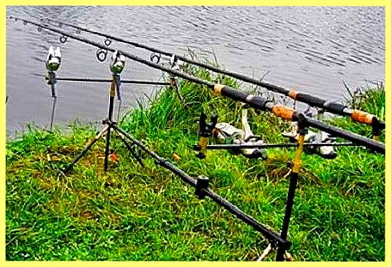 Какой фидер выбрать новичку