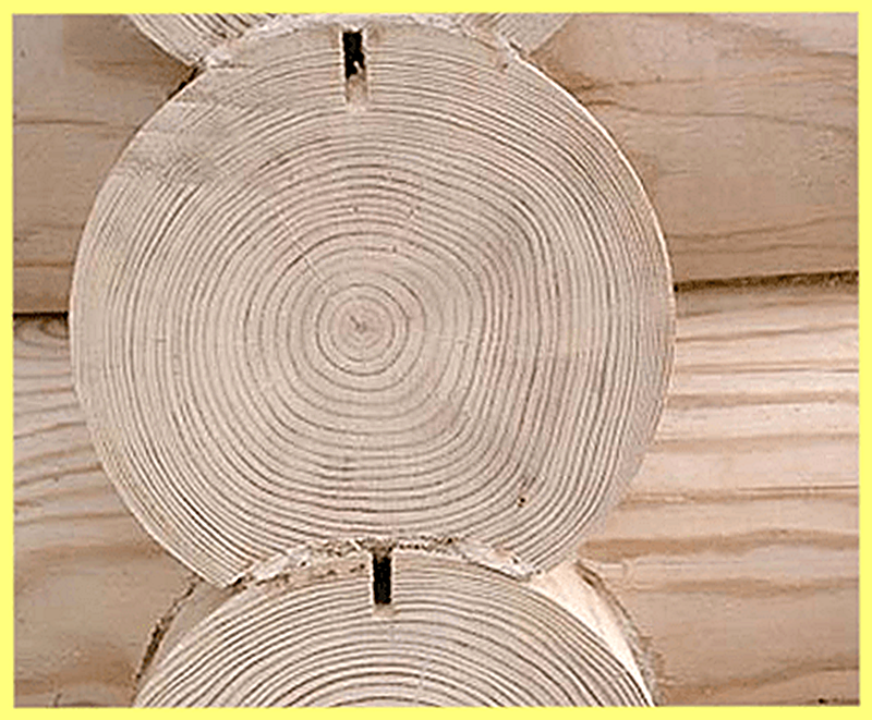 Продажа оцилиндрованного бревна поштучно