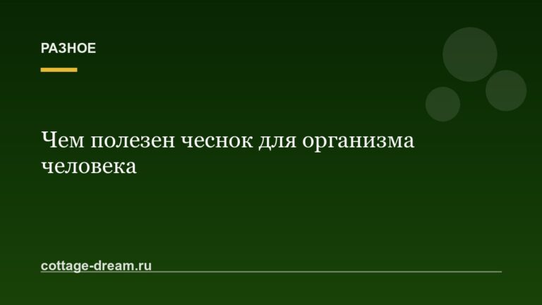 Чем полезен чеснок для организма человека