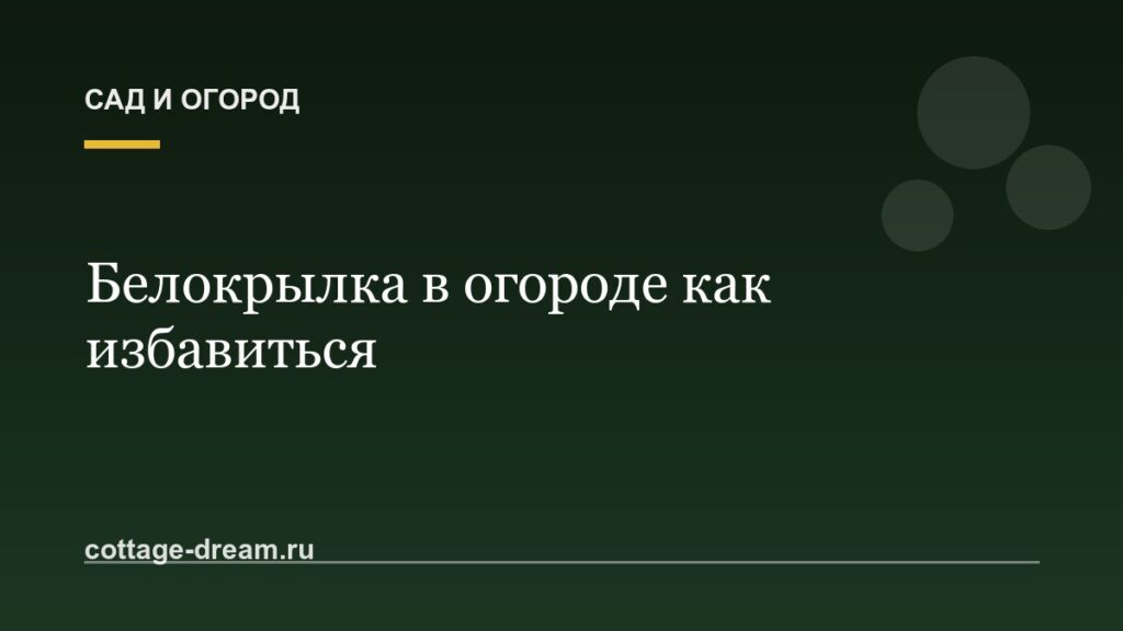 Белокрылка в огороде как избавиться