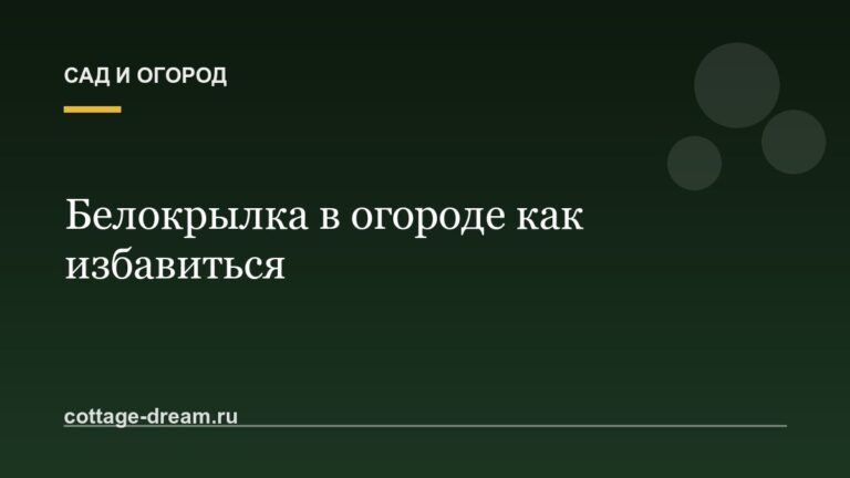 Белокрылка в огороде как избавиться