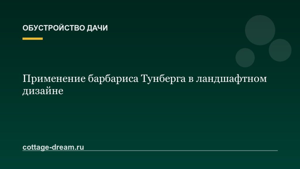 Применение барбариса Тунберга в ландшафтном дизайне