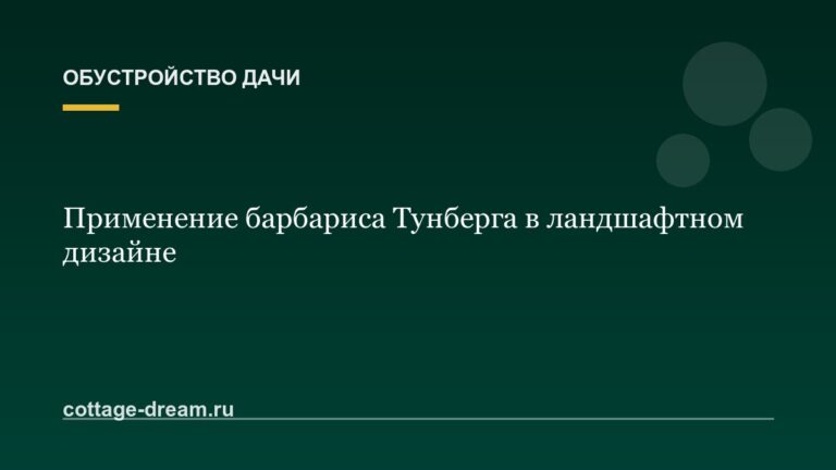 Применение барбариса Тунберга в ландшафтном дизайне