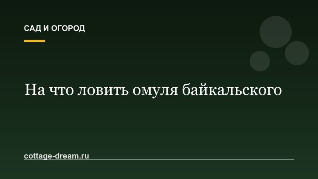 На что ловить омуля байкальского: видео