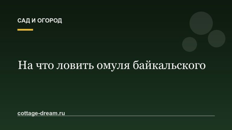 На что ловить омуля байкальского: видео