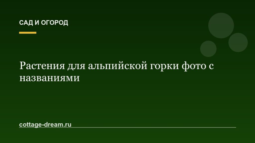 Растения для альпийской горки фото с названиями