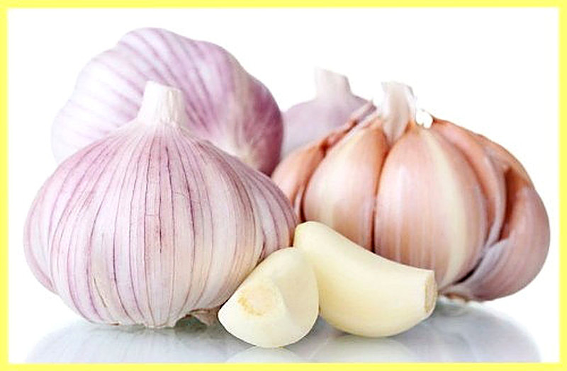 Чем полезен чеснок