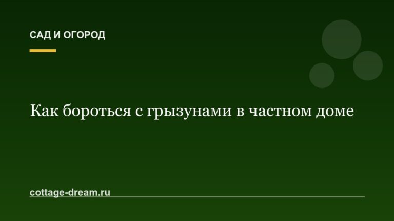 Как бороться с грызунами в частном доме: борьба с крысами
