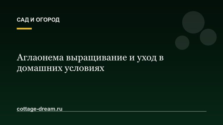 Аглаонема выращивание и уход в домашних условиях
