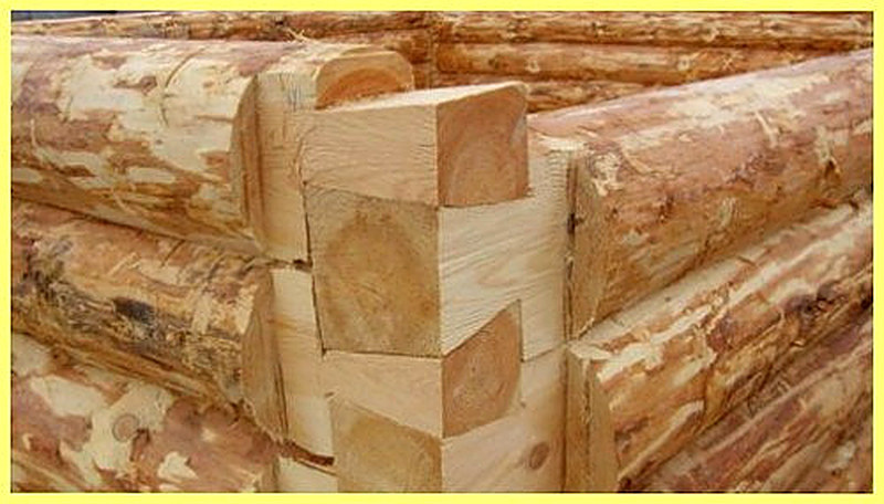 Рубка сруба в лапу фото