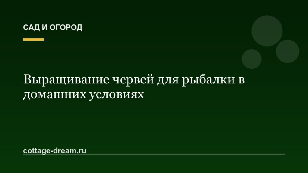 Выращивание червей для рыбалки в домашних условиях