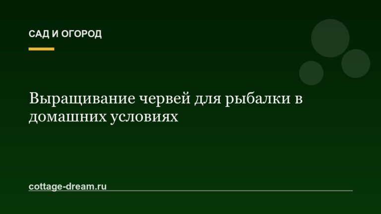 Выращивание червей для рыбалки в домашних условиях