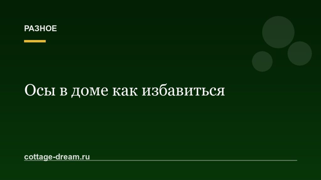 Осы в доме как избавиться