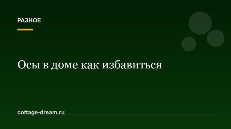 Осы в доме как избавиться