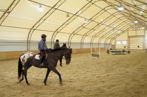 Бескаркасный ангар для лошадей и кур