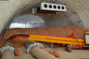 Бескаркасный ангар как овощехранилище