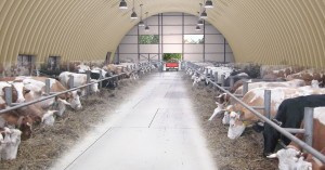 Цена на бескаркасные ангары для сельского хозяйства