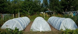 Установка парника подснежник