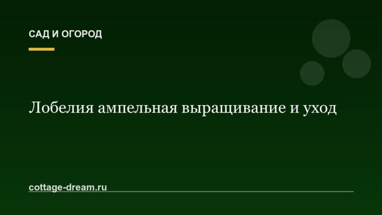 Лобелия ампельная выращивание и уход: фото