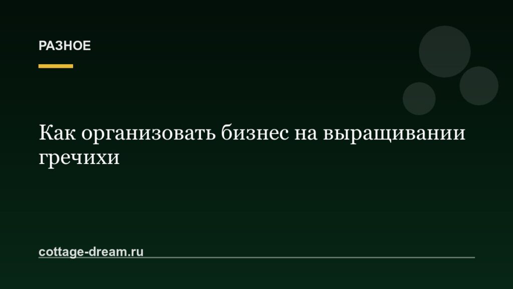 Как организовать бизнес на выращивании гречихи