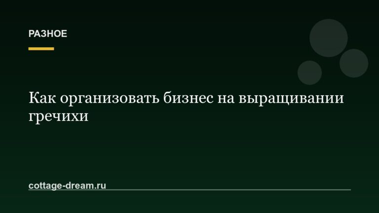 Как организовать бизнес на выращивании гречихи