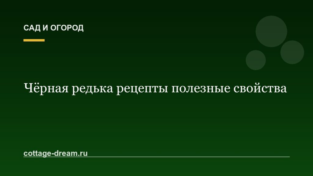 Чёрная редька рецепты полезные свойства