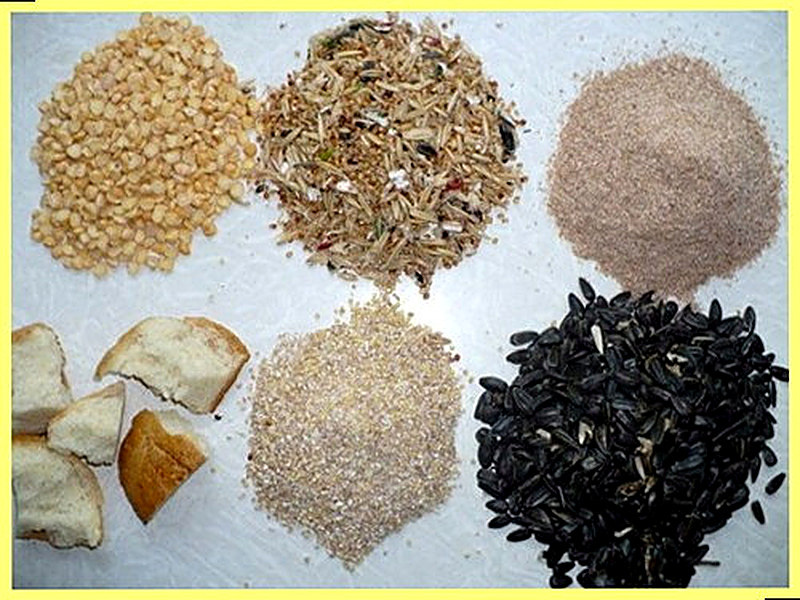 Зимняя прикормка для леща своими руками рецепт