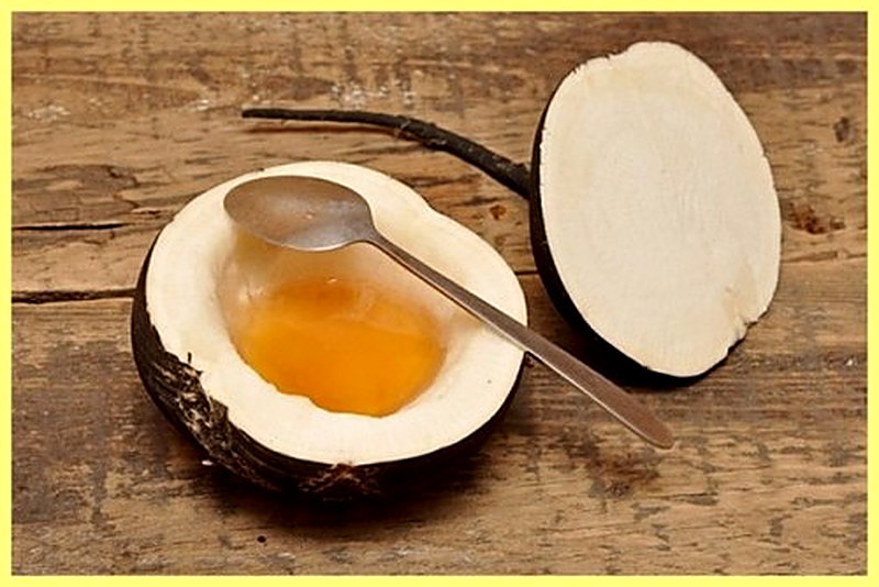 Полезные свойства чёрной редьки