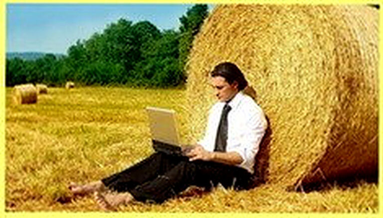 Чем выгодно заниматься в сельском хозяйстве
