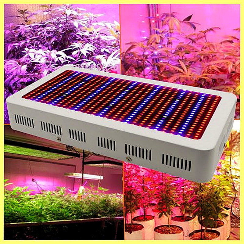 Fitolampy dlja rastenij kak ispol'zovat'