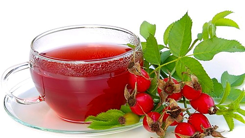 Ягоды шиповника полезные свойства и противопоказания