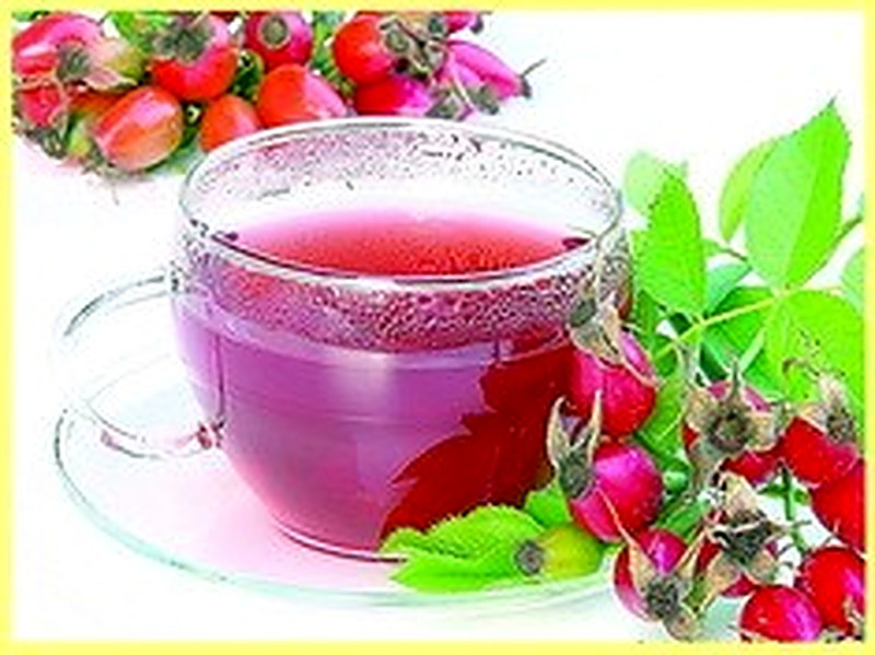 Как правильно заваривать шиповник в термосе чтобы сохранить витамины