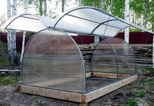 Парник бабочка из поликарбоната недостатки и достоинства