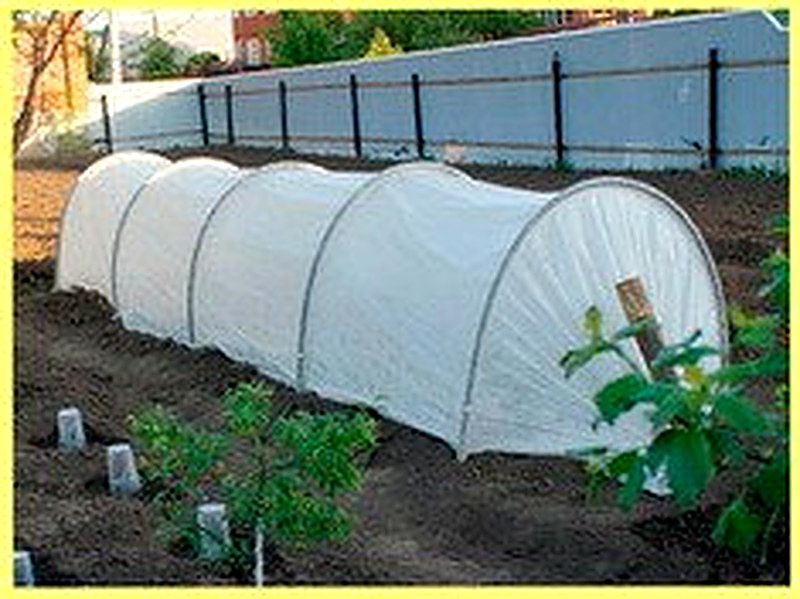 Парник фазенда купить в СПб