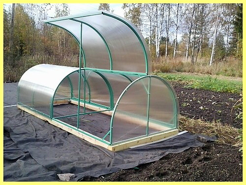 Parnik kabachok kupit' v SPb