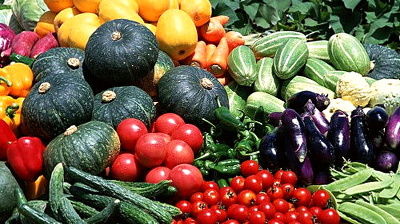 Выращивание овощей на продажу